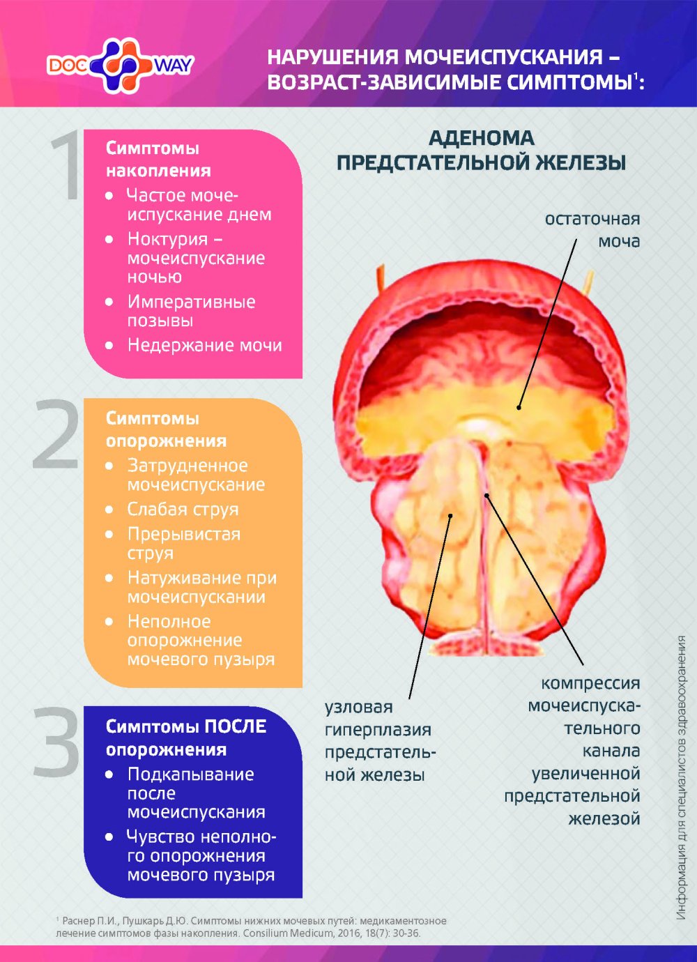 Может ли терапевт назначать лечение пациенту при ДГПЖ?
